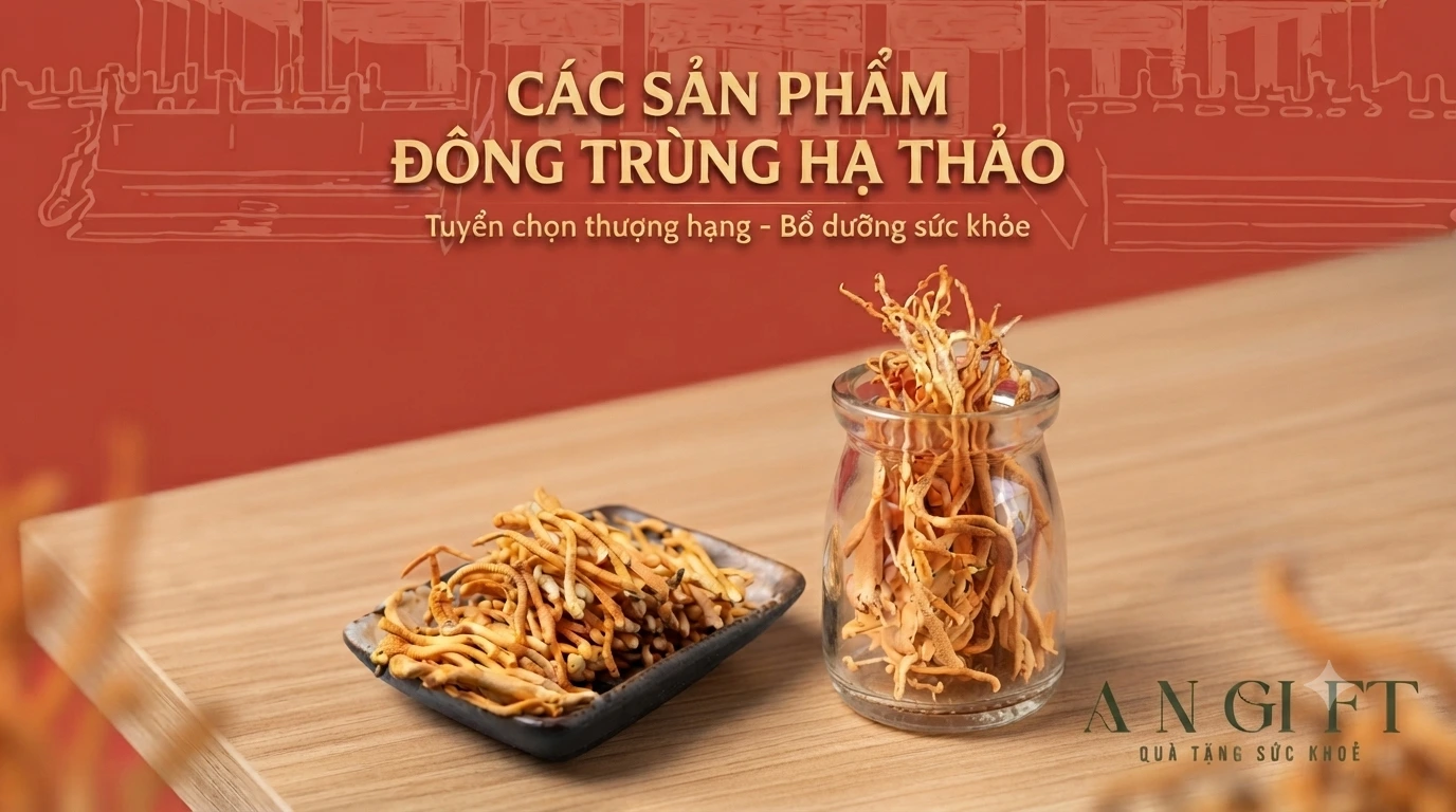 cac-san-pham-dong-trung-ha-thao